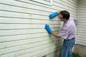 Best Vinyl Siding Installation  in Sansom Park, TX